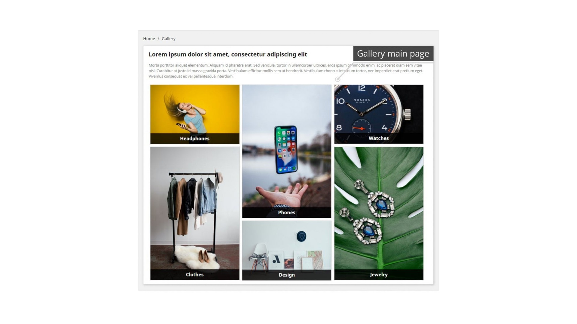 Profesionální galerie pro efektivní prezentaci a prodej