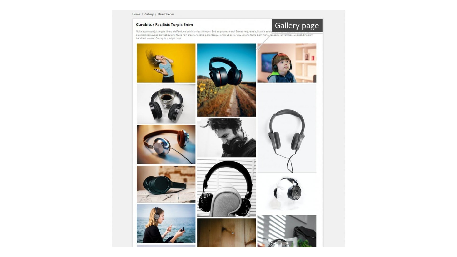 Profesionální galerie pro efektivní prezentaci a prodej