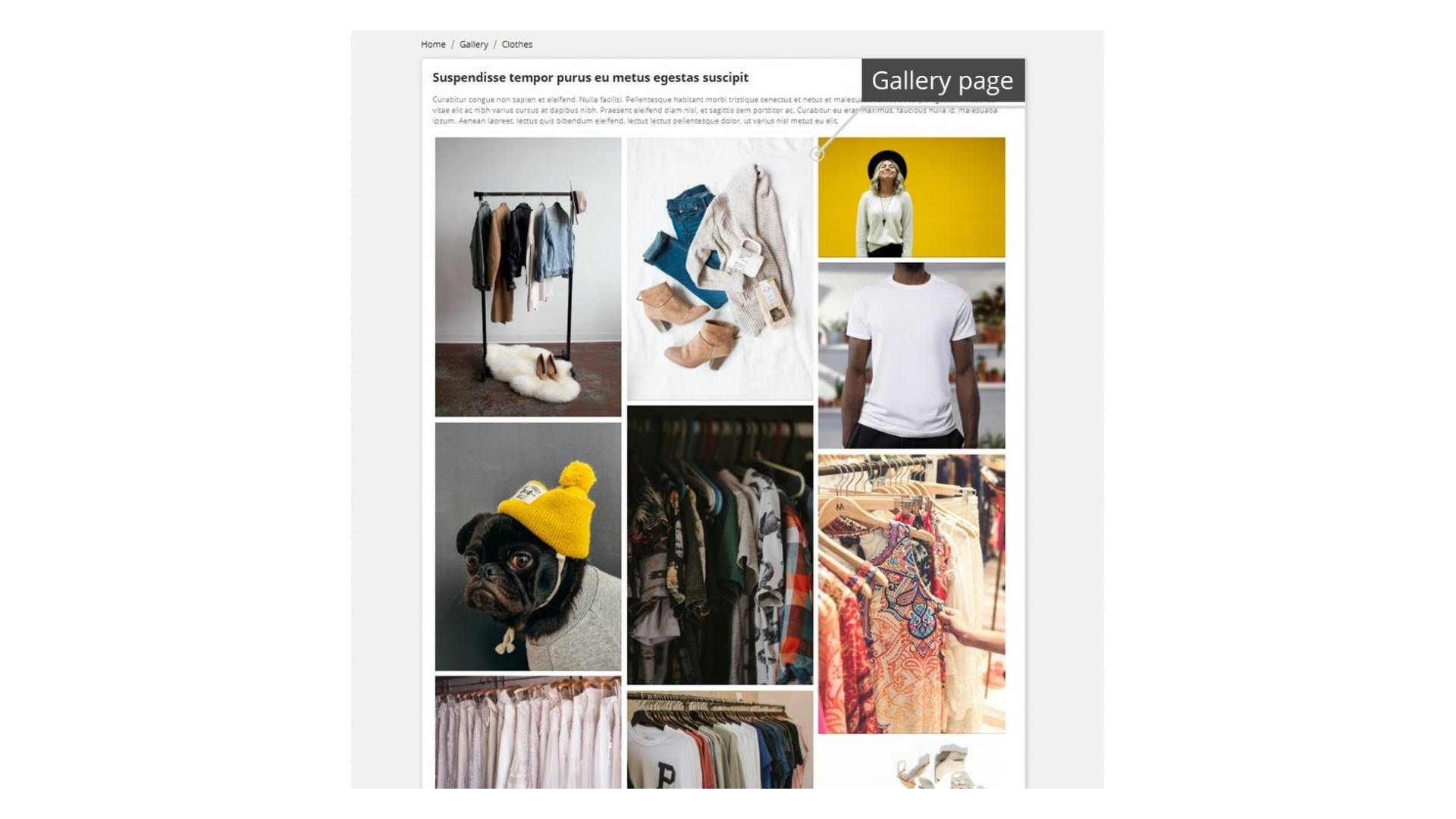 Profesionální galerie pro efektivní prezentaci a prodej