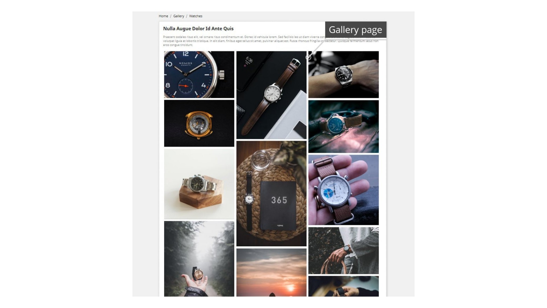 Profesionální galerie pro efektivní prezentaci a prodej