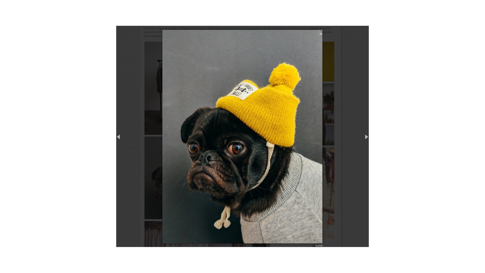 Profesionální galerie pro efektivní prezentaci a prodej