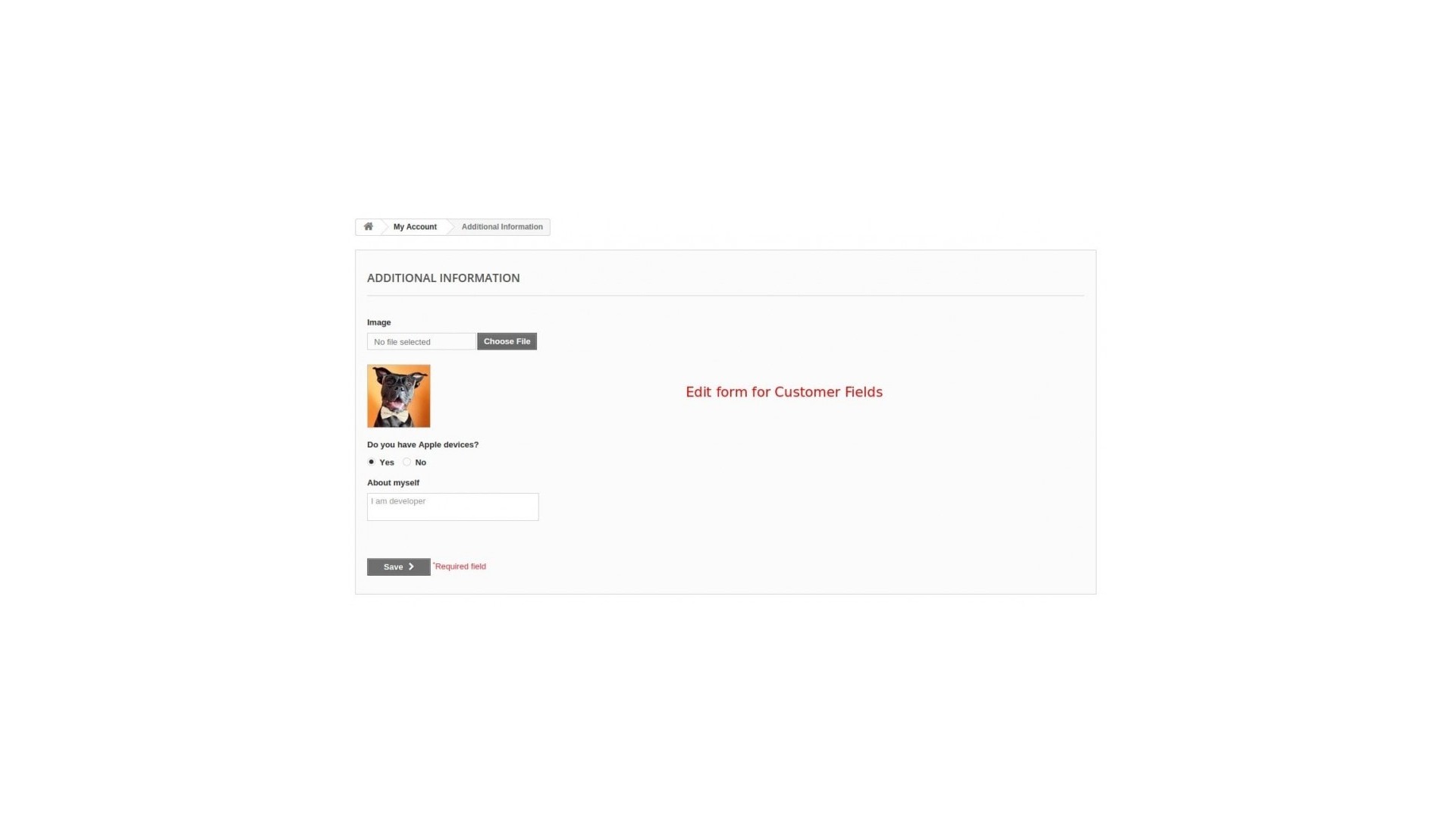 Vylepšená správa polí pro pokladnu a zákazníky